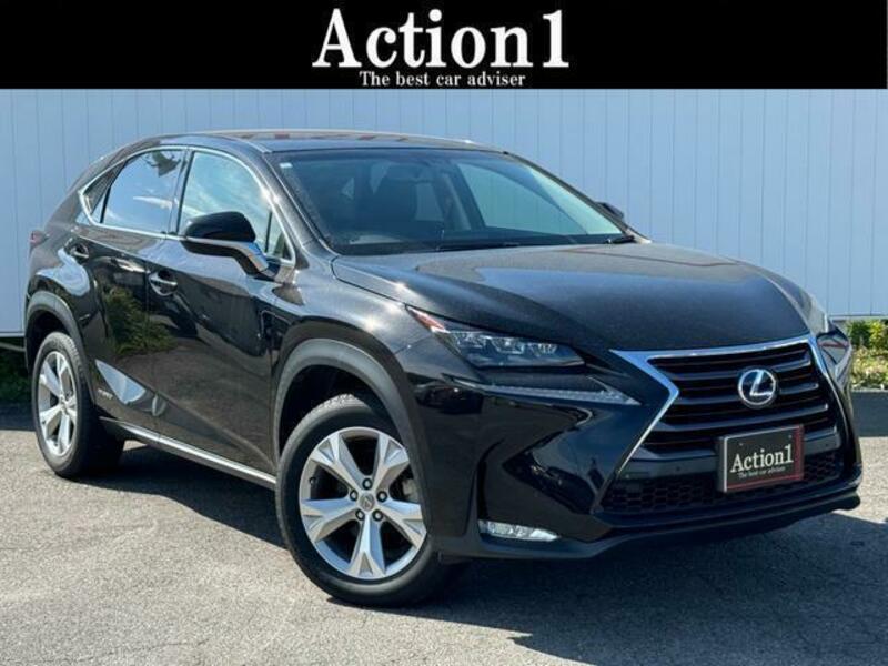 2014 LEXUS NX AYZ10