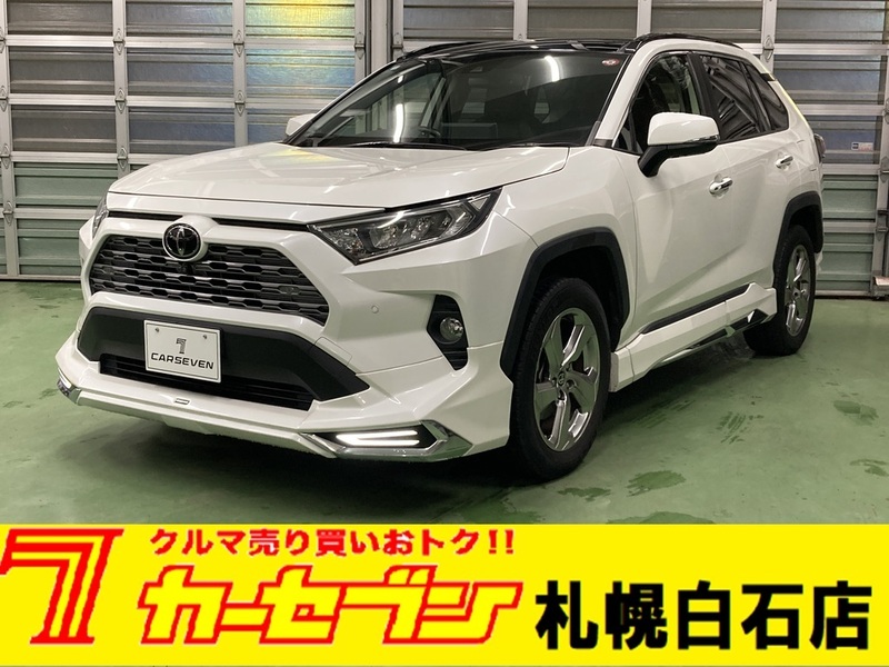 2020 TOYOTA RAV4 MXAA54