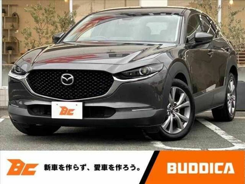 2019 MAZDA CX-30 DM8P