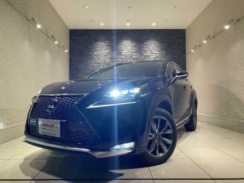 2016 LEXUS NX AYZ10