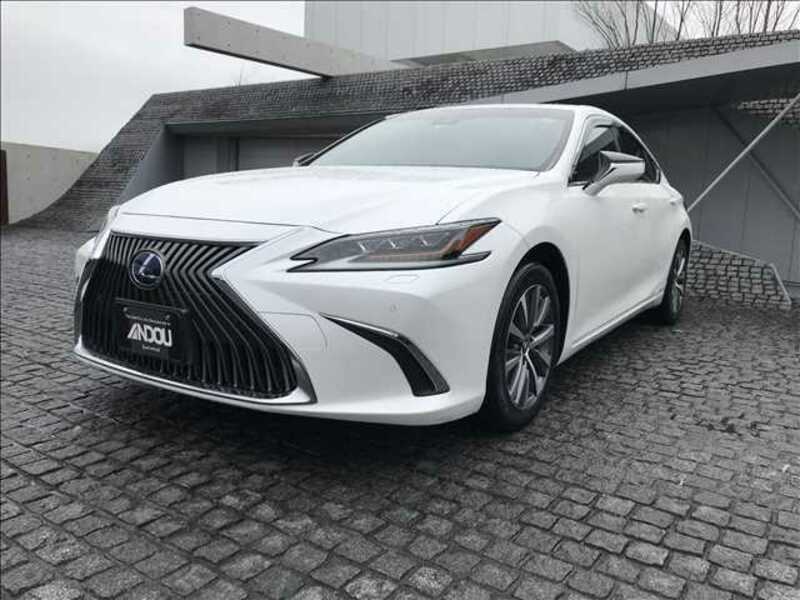 2019 LEXUS ES 6AA-AXZH10