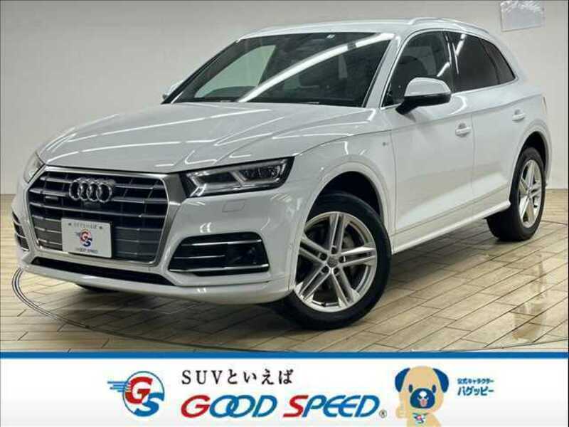 2019 AUDI Q5 LDA-FYDETS