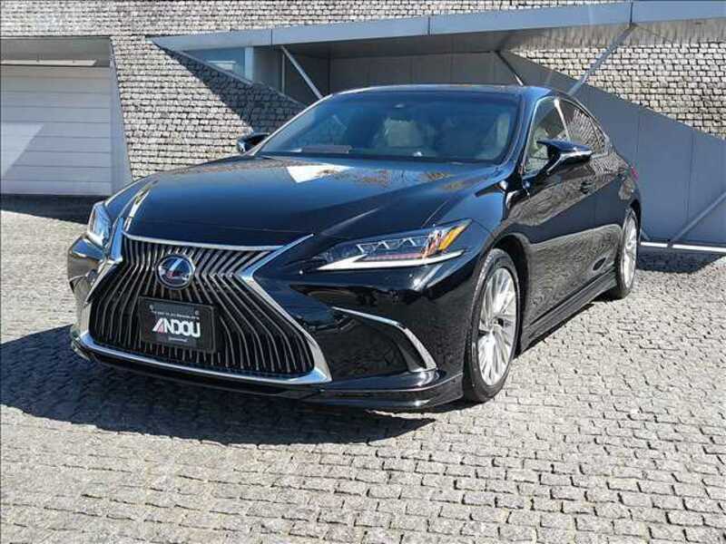 2020 LEXUS ES 6AA-AXZH10