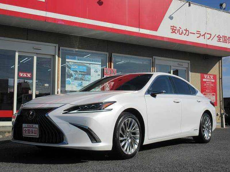 2019 LEXUS ES AXZH10