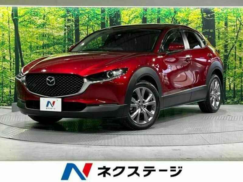 2019 MAZDA CX-30 DMEP