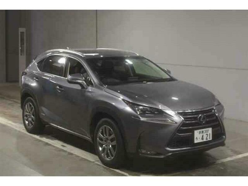 2014 LEXUS NX DAA-AYZ15